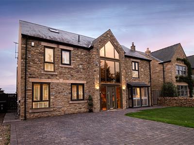 Picture 31